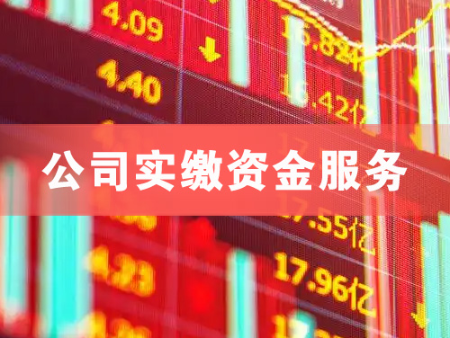 南康公司实缴资金服务