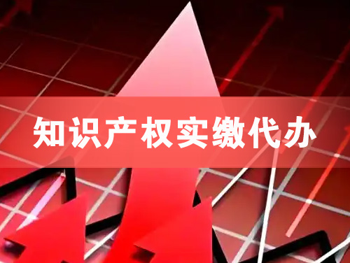 南康知识产权实缴资本代办